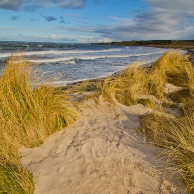 Short Term Let Planning Applications